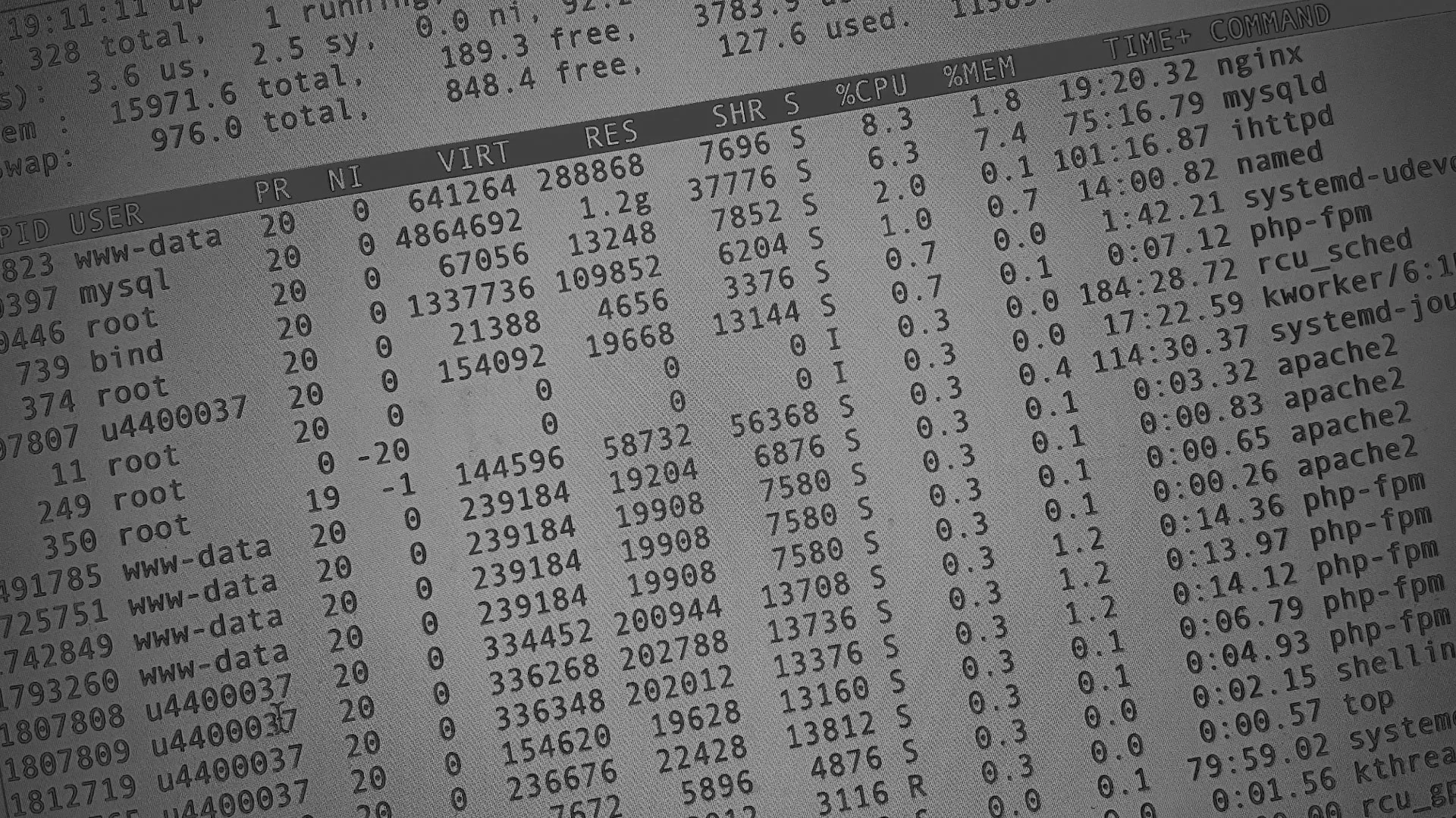 Настройка сервера в Ярцево